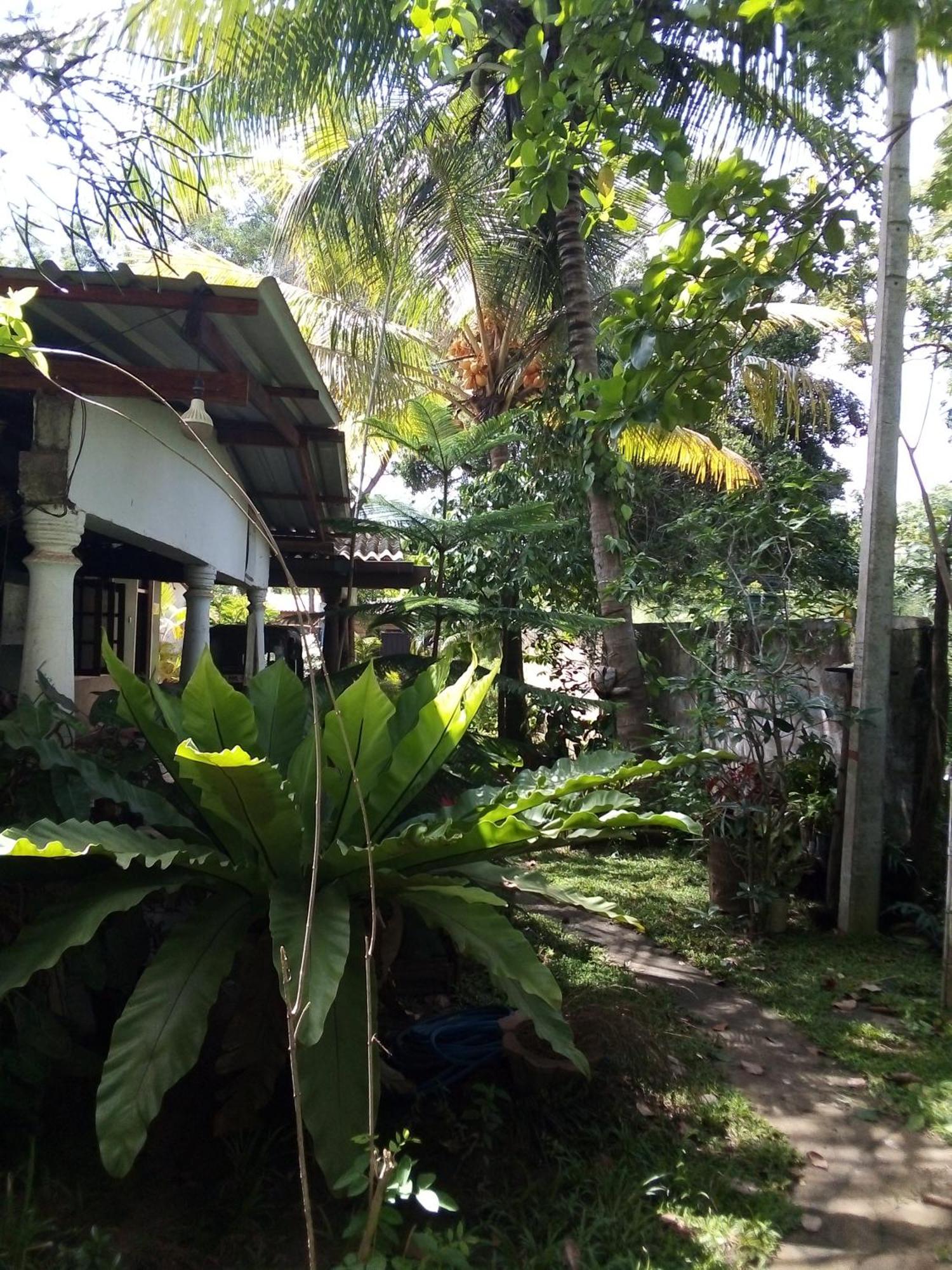 Bandula Home Stay Sigiriya Bagian luar foto